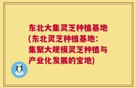 东北大集灵芝种植基地(东北灵芝种植基地：集聚大规模灵芝种植与产业化发展的宝地)