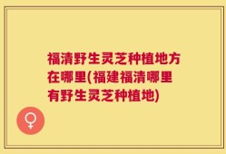 福清野生灵芝种植地方在哪里(福建福清哪里有野生灵芝种植地)