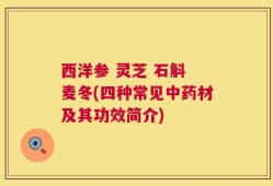 西洋参 灵芝 石斛 麦冬(四种常见中药材及其功效简介)