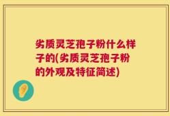 劣质灵芝孢子粉什么样子的(劣质灵芝孢子粉的外观及特征简述)