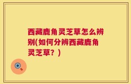 西藏鹿角灵芝草怎么辨别(如何分辨西藏鹿角灵芝草？)