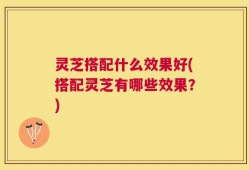 灵芝搭配什么效果好(搭配灵芝有哪些效果？)