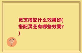 灵芝搭配什么效果好(搭配灵芝有哪些效果？)