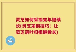 灵芝如何采摘来年继续长(灵芝采摘技巧：让灵芝落叶归根继续长)