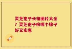 灵芝孢子长相图片大全？灵芝孢子粉哪个牌子好又实惠