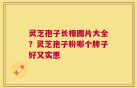 灵芝孢子长相图片大全？灵芝孢子粉哪个牌子好又实惠