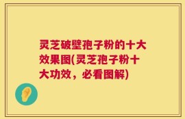 灵芝破壁孢子粉的十大效果图(灵芝孢子粉十大功效，必看图解)