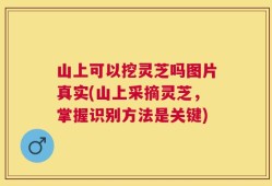 山上可以挖灵芝吗图片真实(山上采摘灵芝，掌握识别方法是关键)