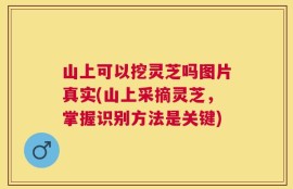 山上可以挖灵芝吗图片真实(山上采摘灵芝，掌握识别方法是关键)