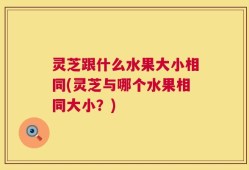 灵芝跟什么水果大小相同(灵芝与哪个水果相同大小？)