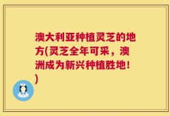 澳大利亚种植灵芝的地方(灵芝全年可采，澳洲成为新兴种植胜地！)