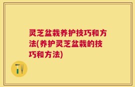 灵芝盆栽养护技巧和方法(养护灵芝盆栽的技巧和方法)