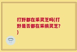 打野都在采灵芝吗(打野是否都在采摘灵芝？)