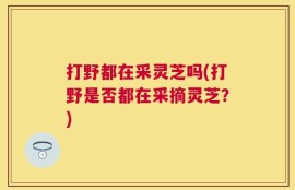 打野都在采灵芝吗(打野是否都在采摘灵芝？)