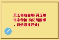 灵芝和胡丽娜(灵芝原生态种植 枸杞胡丽娜，双倍滋补好处)