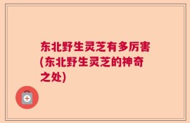 东北野生灵芝有多厉害(东北野生灵芝的神奇之处)