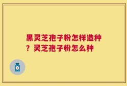 黑灵芝孢子粉怎样造种？灵芝孢子粉怎么种