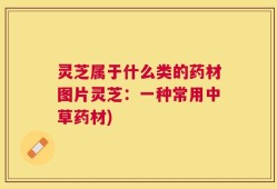 灵芝属于什么类的药材图片灵芝：一种常用中草药材)