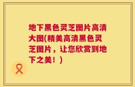 地下黑色灵芝图片高清大图(精美高清黑色灵芝图片，让您欣赏到地下之美！)