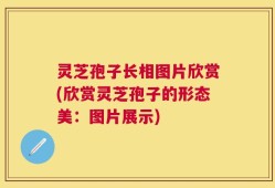 灵芝孢子长相图片欣赏(欣赏灵芝孢子的形态美：图片展示)