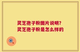 灵芝孢子粉图片说明？灵芝孢子粉是怎么样的