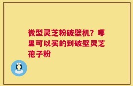 微型灵芝粉破壁机？哪里可以买的到破壁灵芝孢子粉