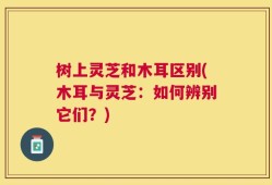 树上灵芝和木耳区别(木耳与灵芝：如何辨别它们？)