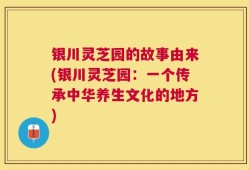 银川灵芝园的故事由来(银川灵芝园：一个传承中华养生文化的地方)