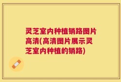 灵芝室内种植销路图片高清(高清图片展示灵芝室内种植的销路)