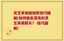 灵芝采摘园拍照技巧图解(如何拍出漂亮的灵芝采摘照片？-技巧图解)