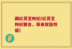藏红灵芝枸杞(红灵芝枸杞联合，带来双倍效益)