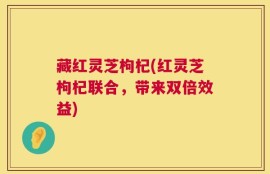 藏红灵芝枸杞(红灵芝枸杞联合，带来双倍效益)