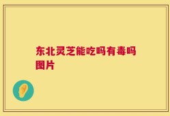 东北灵芝能吃吗有毒吗图片