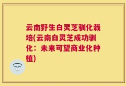 云南野生白灵芝驯化栽培(云南白灵芝成功驯化：未来可望商业化种植)