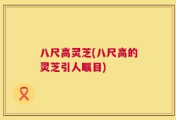 八尺高灵芝(八尺高的灵芝引人瞩目)