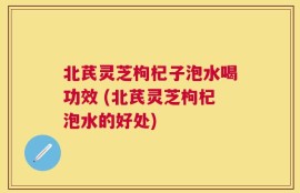 北芪灵芝枸杞子泡水喝功效 (北芪灵芝枸杞泡水的好处)