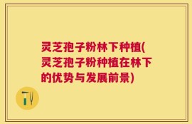 灵芝孢子粉林下种植(灵芝孢子粉种植在林下的优势与发展前景)