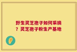 野生灵芝孢子如何采摘？灵芝孢子粉生产基地