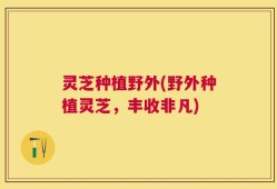 灵芝种植野外(野外种植灵芝，丰收非凡)