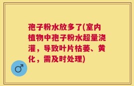 孢子粉水放多了(室内植物中孢子粉水超量浇灌，导致叶片枯萎、黄化，需及时处理)
