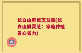 长白山鲜灵芝盆栽(长白山鲜灵芝：家庭种植省心省力)