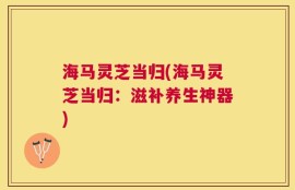 海马灵芝当归(海马灵芝当归：滋补养生神器)