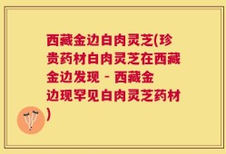 西藏金边白肉灵芝(珍贵药材白肉灵芝在西藏金边发现 - 西藏金边现罕见白肉灵芝药材)