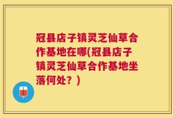 冠县店子镇灵芝仙草合作基地在哪(冠县店子镇灵芝仙草合作基地坐落何处？)