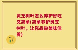 灵芝树叶怎么养护好吃又简单(简单养护灵芝树叶，让你品尝美味佳肴)