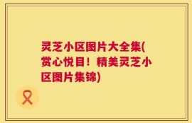 灵芝小区图片大全集(赏心悦目！精美灵芝小区图片集锦)