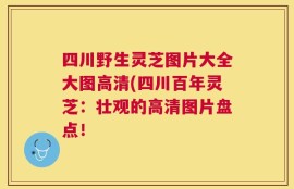 四川野生灵芝图片大全大图高清(四川百年灵芝：壮观的高清图片盘点！