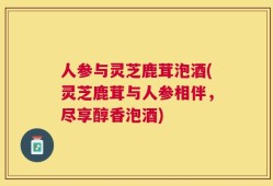 人参与灵芝鹿茸泡酒(灵芝鹿茸与人参相伴，尽享醇香泡酒)
