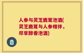 人参与灵芝鹿茸泡酒(灵芝鹿茸与人参相伴，尽享醇香泡酒)