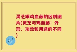 灵芝跟鸡血藤的区别图片(灵芝与鸡血藤：外形、功效和用途的不同)